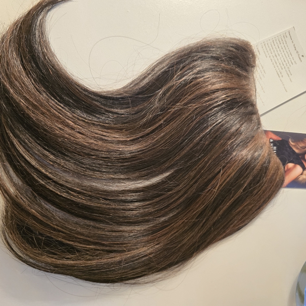 Jon Renau easiCrown HD 12" Clip InCrown Volumizer in color FS4/33/30A Cocoa